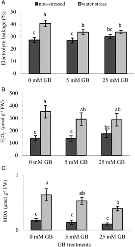 Figure 3 Effect of foliar application of GB on: A, electrolyte leakage; B, H2O2; and C, MDA contents of pepper seedlings grown under optimum and water stress conditions. Vertical bars represent mean ± SE (n = 8).