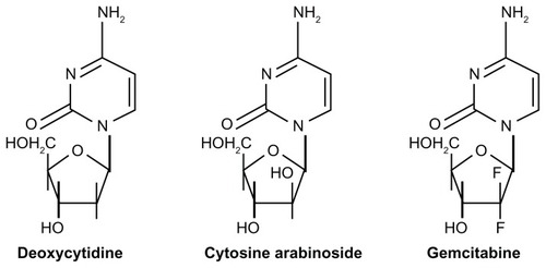 Figure 1 Structures of deoxycytidine, cytosine arabinoside, and gemcitabine.Citation6