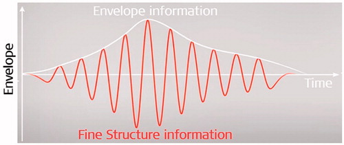 Figure 9. Simple illustration of the envelope and fine structure components of a sound signal (image courtesy of MED-EL).