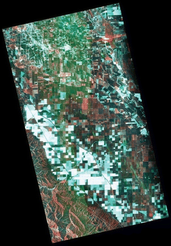 2. PALSAR image (35 km by 65 km) for California. Acquired 1 May 2007 (polarizations VV, VH, and HV; RGB).