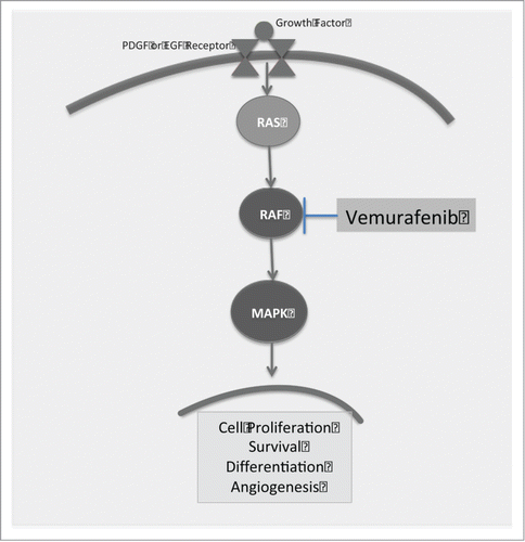 Figure 3. A simplified depiction of the MAPK pathway. Binding to the PDGF or EGF receptor results in activation of the RAS/RAF pathway and subsequent cell proliferation and differentiation. Blockade of the BRAF kinase with vemurafenib halts this process seen in the progression of many cancers.