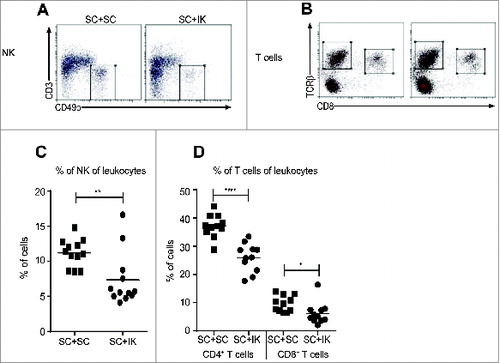 Figure 4. A lower percentage of NK and T cells infiltrate SC tumors when a concomitant IK tumor is present. (A and B) Representative flow cytometry dot plots and (C and D) quantitative data for the percentage of (A, C) NK cells and (B, D) CD4+ and CD8+ T cells of total leukocytes that infiltrate SC tumors from mice injected with two SC tumors (SC + SC) or one SC and one IK tumors (SC + IK). (C) n = 12 mice per group, three experiments pooled. (D) n = 11 mice per group, three experiments pooled. * p < 0.05, ** p < 0.005, **** p < 0.0001.
