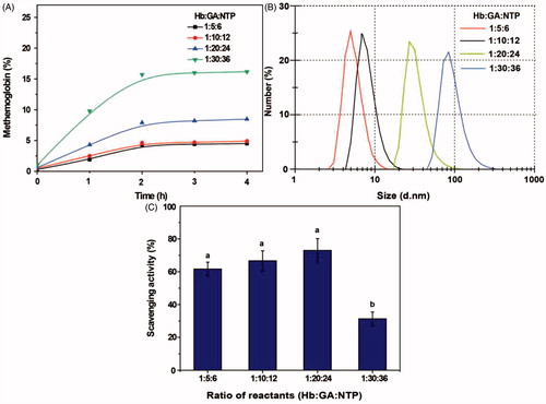 Figure 5. Effects of ratio of reactants on the PolyHb-Tempol product. Time-dependent changes in the proportion of metHb (A), particle size (B) and superoxide radical scavenging activity (C) after glutaraldehyde addition to the Hb and NH2-Tempol. Data (C) is mean ± SD of three independent experiments. The letters above the bars (a, b) indicate significant difference (p < .05) between the concentration ratio groups.