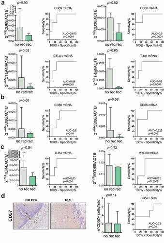 Figure 4. Immunological markers as predictors of recurrence after pathological complete response (pCR). Immunological markers in non-cancerous esophageal mucosa specimen of patients with pCR who experienced (rec) or not (no rec) disease recurrence were compared. (a) Lymphocytes markers activation (CD69, CD38), exhaustion (CTLA-4) and differentiation (T-bet) mRNA expression and ROC curves are shown to demonstrate the accuracy of the different lymphocytes markers mRNA to predict recurrence after pCR. (b) Costimulatory molecules CD80 and CD86 mRNA expression were compared and ROC curves are shown to demonstrate the accuracy of costimulatory molecules mRNA to predict recurrence after pCR. (c) Innate immunity markers TLR4 and MYD88 mRNA expression were compared and ROC curves are shown to demonstrate the accuracy of innate immunity markers mRNA to predict recurrence after pCR. (d) The number of natural killer cells (CD57+ cells) was compared and ROC curves are shown to demonstrate the accuracy of NK cells number to predict recurrence after pCR. Representative images of CD57 immunohistochemical staining are shown (original magnification 40X). Mann-Whitney U test was performed. Data are represented as median ± IQR.