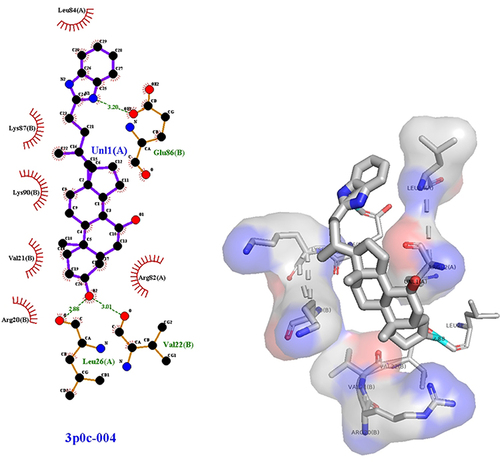 Figure 9 3D (right) and 2D (left) representations of the binding interactions of (IVf) against nischarin (PBPs) (PDB ID: 3p0c).