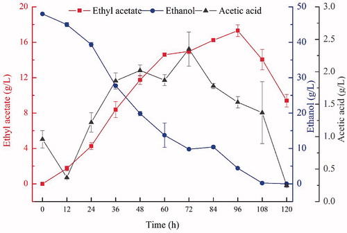 Figure 9. Changes in ethyl acetate, ethanol and acetic acid concentrations during fermentation.