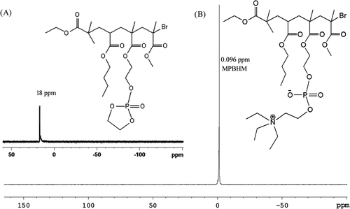 Figure 4. 31P NMR of MPBHM.