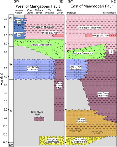 Figure 7. Late Miocene–early Pliocene lithostratigraphy in two parallel sections from southwest to northeast of the study area, separated by the Mangaopari Fault. Grey areas indicate intervals of erosion or non-deposition. Ages in Ma are based on Raine et al.’s (Citation2015) updated New Zealand Geological Timescale. The key horizon for constraining uplift in the latest Miocene is the base of the Clay Creek Limestone (c. 7.2 Ma). Also shown is the diachronous nature of the Makara Greensand and base of the Mangaopari Mudstone. Sw = Waiauan, Tt = Tongaporutuan, Tk = Kapitean, Wo = Opoition, Wp = Waipipian. Data from east of the Mangaopari Fault are from field observations with additional information from Green (Citation1981), Hatfield (Citation1981) and Crundwell (Citation1979).