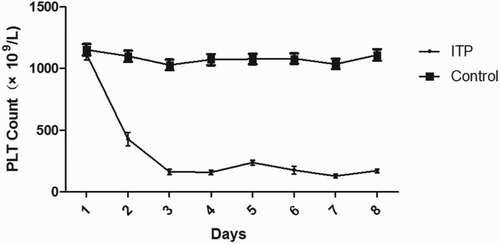 Figure 1. Platelet counts in mice at different times after the injection of MWReg30 monoclonal antibody. BALB/c mice were injected with 1.4 µg MWReg30 antibody on Days 1 and 2, 2.1 μg on Day 3, and 2.8 μg from Day 4 to Day 8. The control group was injected with the same volume of IgG1. The PLT count was reduced to half the initial value by 24 h and the PLT count was constant from Day 3 to Day 8 in the ITP mouse model (n = 10 mice/group).
