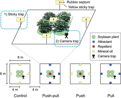 Figure 2. Layout of experimental sites. Schematic diagram of experimental layout in the field. In brief, a field consists of four different plots representing each treatment. Each plot was at least 4 meters apart. In each plot, four soybean plants were planted in the center. A sticky trap installed in the center of a plot represents soybean area, while four sticky traps installed 4 meters away from the center represent the edge area. A stationary camera trap was installed to face soybean plants in each plot.