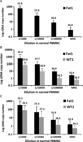 Figure 3. Determination of sensitivity of Fat1 detection using qPCR in a simulated MRD assay. Dilution experiments were performed on three leukemic cell lines: (A) LK-63 (B-lymphoid), (B) MOLT-4 (T-lymphoid), and (C) THP-1 (myeloid) expressing Fat1 at relatively high, medium, and low expression levels, respectively.9 Samples were processed and qPCR assays were performed to measure Fat1 transcript levels using GusB and ABL housekeeping genes according to the text, inclusive of assays for WT1 that served as a standard for sensitivity measurements. LK-63 cells do not express WT1. Values plotted are the mean cDNA copy number ±SEM calculated from determinations using three different blood donors. A two-tailed Student's t-test was used to compare the cDNA copy number of individual tests against data obtained from PBMNCs alone (*P < 0.05, **P < 0.01). The mean Ct value is also plotted above each histogram bar. Similar results were obtained in independent experiments with PB collected from three different individuals.