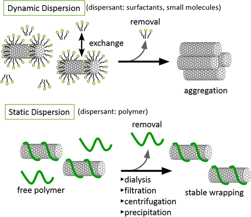 Figure 3. Schematic illustrations for the dynamic (upper) and static (lower) dispersion of CNTs.