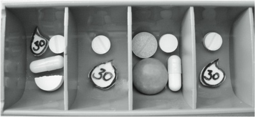 Figure 2 Correctly filled pill box (standard of the practical part).