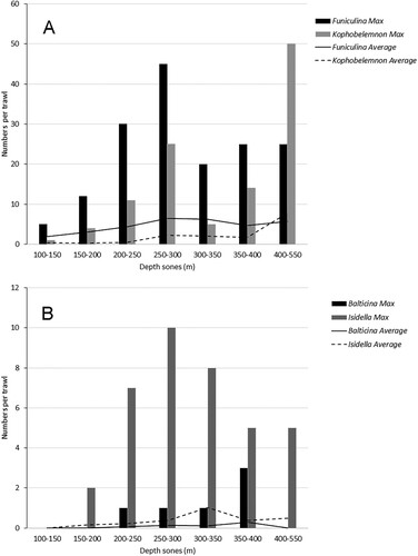 Figure 4. (A) Records of the sea pens Funiculina and Kophobelemnon and (B) Balticina and the bamboo coral Isidella, in different depth zones in the study area. Columns are the largest number observed at a station within the depth zone and lines are average for all stations in a depth zone.