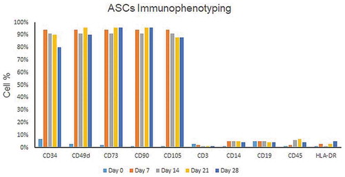 Figure 5. Dynamics of MSCs surface markers expression by ASCs isolated from LPA. Representative bar chart for immunophenotyping of ASCs (isolated from LPA) analyzed by flow cytometry on different timepoints