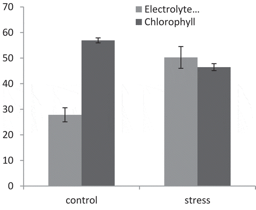 Figure 6. Effect of drought stress on EL and chlorophyll index in pomegranate cultivars