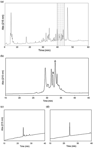 Fig. 1. HPLC purification of the C. pennaceus venom. (a) First-step fractionation. Conditions; column, Protein C4, 10 × 250 mm, (Grace Vydac, Hesperia, CA, USA); solvents, 0.1% TFA in water/0.08% TFA in acetonitrile; flow rate, 2 ml/min; gradient, 5–60% of 0.08% TFA in acetonitrile over 55 min. The fraction eluted at 40–45 min (shaded) was obtained. (b) Second-step purification. Conditions; column, Everest C18 1.0 × 250 mm (Grace Vydac); solvents, 0.1% TFA in water/0.08% TFA in acetonitrile; flow rate, 0.05 ml/min; gradient, 10–50% of 0.08% TFA in acetonitrile over 40 min. (c) Final purification of peak A. Conditions; column, Everest C18, 1.0 x 250 mm (Grace Vydac); solvents, 0.1% formic acid in water/0.08% formic acid in acetonitrile; flow rate, 0.05 ml/min; gradient, 10–50% of 0.08% formic acid in acetonitrile over 40 min. (d) Final purification of peak B. Conditions are the same as described in (c).