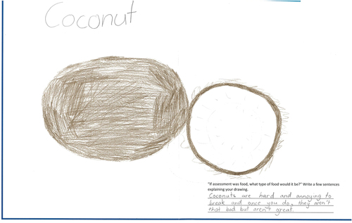 Figure 2. Coconut The annotation reads ‘Coconuts are hard and annoying to break and once you do they aren’t that bad but aren’t great’.
