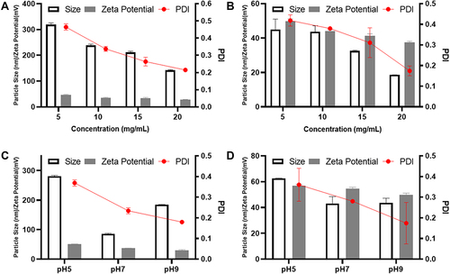 Figure 3 Effects of concentration and pH changes of Dex anion derivatives (DDs) on preparing PEI-DDs NPs. (A and B). Effects of concentration changes of DSH (A) and DSP (B) on the particle sizes, Zeta potential, and PDI of PEI-DSH and PEI-DSP NPs. (C and D). Effects of pH values on particle size, potential, and PDI of PEI-DSH NPs (C) and PEI-DSP NPs (D) (Mean ± SD, n = 3).