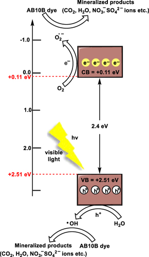 Figure 16 A plausible mechanism of degradation of AB10B dye using CuO-1 nano photocatalyst.