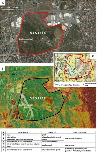 Figure 8. Park Leśny Bródno / Las Bródnowski geosite on different maps: (A) orthoimage derived from www.geoportal.gov.pl, (B) LIDAR DEM and orthophoto derived from www.geoportal.gov.pl, (C) geological map (Sarnacka, Citation1979).