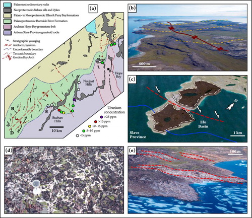 Figure 5. Structural aspects of the study area. (a) Structural sketchmap of the area underlying Melville Sound and the Buchan and Naujaat hills; note the northeastern termination of the Gordon Bay Arch; the occurrence of broad folds and isolated normal faults; and the spatial relationships between folds and uranium mineralization along the nonconformity between Sequence I and the Archean Slave Province. (b) Aerial oblique view of a broad, open syncline composed of strata belonging to the Burnside River Formation (note axial trace), northern Bathurst Inlet, looking south. (c) Google Earth™ oblique image of the promontory in between Elu Inlet from Melville Sound, showing a 10-km-scale normal fault (dashed line) with vertical displacement in the order of ∼200 m. (d) Detail of a brecciated fault zone hosted within sandstone of the Ellice Formation. Note tension gashes recrystallized with quartz. Compass, for scale, is approximately 15 cm across. (e) Large-scale tension gash (delimited by dashed lines) affecting the Burnside River Formation, northern Bathurst Inlet, looking northwest.