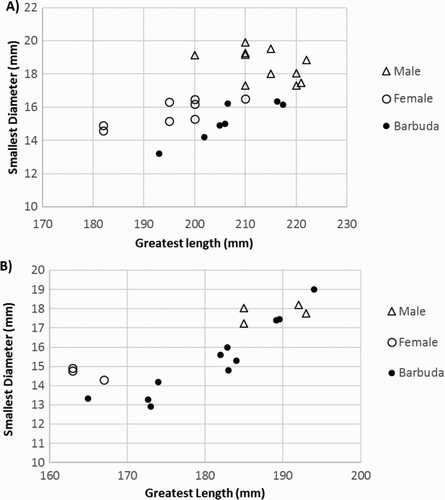 Figure 4. Plot of (a) metatarsal and (b) metacarpal measurements – breadth of distal (Bd) against Greatest Length (GL) – for fallow deer of known sex and Barbuda.