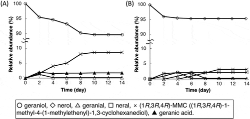 Figure 5. Time courses of the biotransformation of (A) geraniol and (B) nerol by a transformant of Acinetobacter sp. Tol 5 expressing geraniol dehydrogenase.(1R,3R,4R)-1-methyl-4-(1-methylethenyl)-1,3-cyclohexanediol ((1R,3R,4R)-MMC) is indicated by the cross marker.