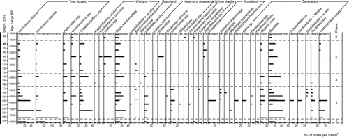 Figure 4 Selected mite concentrations from Trettetjørn. The data are presented on a depth basis with a calibrated age scale. The phases shown in the right-hand column refer to the phases in the text.