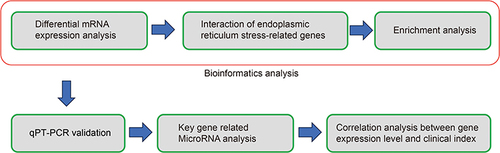 Figure 1 The detailed analysis process of this study.