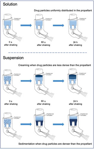 Figure 1. Gravitational stability of pMDI formulated as solutions or suspensions: solution-based formulations contain the drug solubilized in a hydrofluoroalkane (HFA) propellant with or without co-solvents. HFA suspensions contain suspended drug particles subjected to creaming or sedimentation according to the difference between the density of the drug and the density of the system.