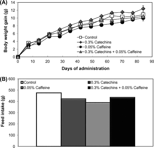 Fig. 1. Effects of the catechins and/or caffeine treatments (12 weeks) on body weight gain (A) and feed intake (B) in mice. Values are means ± SE.