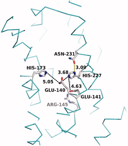 Figure 4. Crystal structure of the MmRce1 catalytic site (PDB: 4CAD), showing the locations of the critical residues E140, E141, R145, H173, H227, and N231. Selected N–O distances between residues are given in Ångströms and marked by black dashed lines. The hydrogen bond between H227 and N231 reported by Manolaridis et al. is shown as a yellow line. (see color version of this figure at www.tandfonline.com/ibmg).