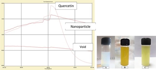 Figure 2 (Left) UV-Visible spectrophotometric data of quercetin, void and nanoparticles. (Right) Images of synthesized nanoparticles (A) Void nanoparticles, (B) Q-ORMOSIL and (C) LA-Q-ORMOSIL.