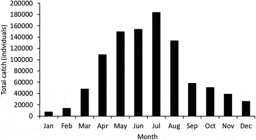 Figure 1. Total monthly catch trend of escolar in the southwestern Indian Ocean from 2014 to 2019.