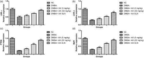 Figure 3. The effect of AX-SLN on the protein expression of LXR (α and β), Maf1 and PTEN. Each value shows the mean ± SEM, where the treated group rats were compared with the DMBA-induced group rats. Statistical analysis was done by one-way ANOVA followed by Dunnett’s multiple comparison. *p < .05, **p < .01, and ***p < .001.