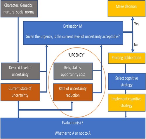 Figure 5. Flow chart of the revised model of decision making. Colouring as in Figure 3. Cognitive strategies include embodied, extended and social cognition as well as implementation of the norms of reasoning.
