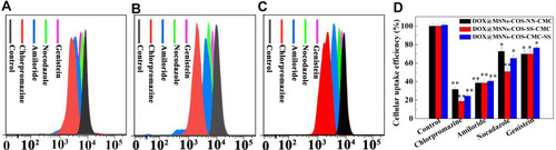 Figure 7 Endocytosis of DOX-loaded nanoparticles in HeLa cells at pH 6.5 and 10 mM GSH. The internalized DOX signals of (A) DOX@MSNs-COS-NN-CMC, (B) DOX@MSNs-COS-SS-CMC and (C) DOX@MSNs-COS-CMC-SS by flow cytometry. (D) Effect of endocytic inhibitors on cellular uptake efficiency. Data are presented as the mean value ± standard deviation (n=3). *Means P < 0.05 and **Means P <0.01, compared with the control group.Abbreviations: MSNs, mesoporous silica nanoparticles; DOX, doxorubicin hydrochloride; COS, chitosan oligosaccharide; COS-SS, disulfide-containing chitosan oligosaccharide; COS-NN, non-cleavable chitosan, diallyl disulfide was replaced by N,N′-methylenebisacrylamide; CMC, carboxymethyl chitosan; CMC-SS, disulfide-containing carboxymethyl chitosan; GSH, glutathione.