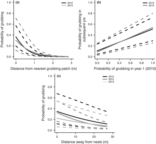 Figure 3. Probability of pink-footed goose grubbing at the nesting area in wet fen habitat in Sassendalen, Svalbard. (a) Probability of grubbing in 2012 and 2013 related to the distance (m) from nearest grubbing patches measured in the reference year 2010. (b) Probability of grubbing in 2012 and 2013 related to the probability of grubbing in the reference year 2010. (c) Probability of grubbing in 2010, 2012 and 2013 related to distances from nest sites.Note: Dashed lines indicated 95% confidence limits.