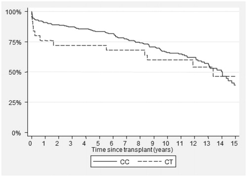 Figure 1. Kaplan–Meier test for graft survival based on the genotype for CYP3A4*1/*1 (CC) versus CYP3A4*22 (CT) (p = 0.57).