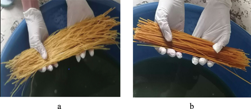 Figure 3. Fiber treatment a moringa fiber and b bamboo fiber immersed in 10 vol.% NaOH (Yassin et al. Citation2023).
