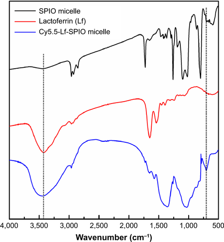 Figure S1 Fourier-transform infrared spectra of SPIO micelles, lactoferrin, and Cy5.5-Lf-SPIO micelle.Abbreviation: SPIO, superparamagnetic iron oxide.