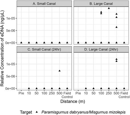 Figure 4. Quantitative PCR detections of P. dabryanus/M. mizolepis within the small and large canal during initial sampling (a and b, respectively) and 24h later within the small and large canal (c and d, respectively). Each point above 0 ng·μL−1 indicates that target eDNA was detected and represents a positive technical replicate.
