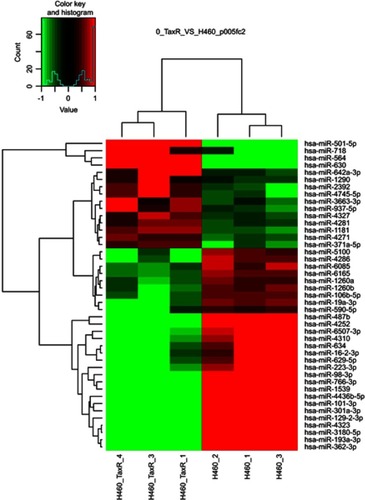 Figure 3 miRNA expression profiles in parental and paclitaxel-resistant NSCLC cells.Note: The heatmap from unsupervised hierarchical clustering showed miRNAs with high expression in red and miRNAs with low expression in green.