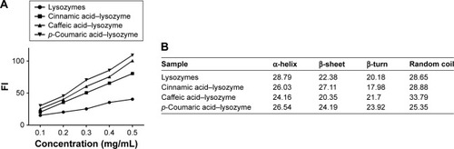 Figure 4 Surface-hydrophobicity index and secondary-structure stability of the four enzymes.Notes: (A) Correlation between FI index and concentration; (B) secondary-structure content of each group.Abbreviation: FI, fluorescence index.