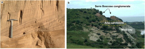 Figure 4. Pleistocene deposits: (a) Cross stratification in the Arso sandstone unit (Middle Pleistocene); (b) panoramic view of the Serre Boscose conglomerate (Middle Pleistocene–Upper Pleistocene), unconformably overlying the Arso sandstone (Middle Pleistocene). At the base, the Nicà clay (Lower Pleistocene) crops out.