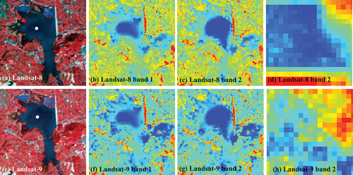 Figure 6. Images of a lake in the Xuancheng site, highlighting the radiometric solution difference in identifying dark water areas between Landsat-8 and −9. (a) and (e): Landsat-8 and −9 false-color images (RGB: bands 5, 4, 3); (b) and (c): Pseudo-color images of Landsat-8’s bands 1 and 2; (f) and (g): Pseudo-color images of Landsat-9’s bands 1 and 2; (d) and (h): Pseudo-color images with a zoomed-in view of the white dot in Figure 6(a,e).