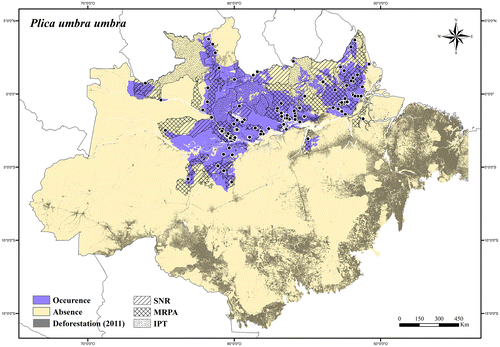 Figure 116. Occurrence area and records of Plica umbra umbra in the Brazilian Amazonia, showing the overlap with protected and deforested areas.