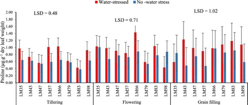 Figure 5. Proline accumulation after water stress at different growth stages of wheat development. n = 8.