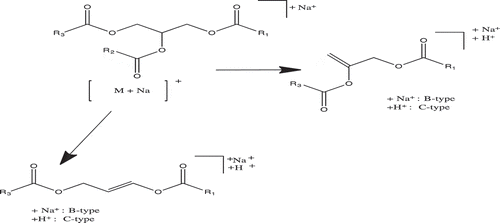 Figure 2. Schematic representation of the dissociation pathways for the sodiated triacylglycerols considered in the study using a high-energy CID.